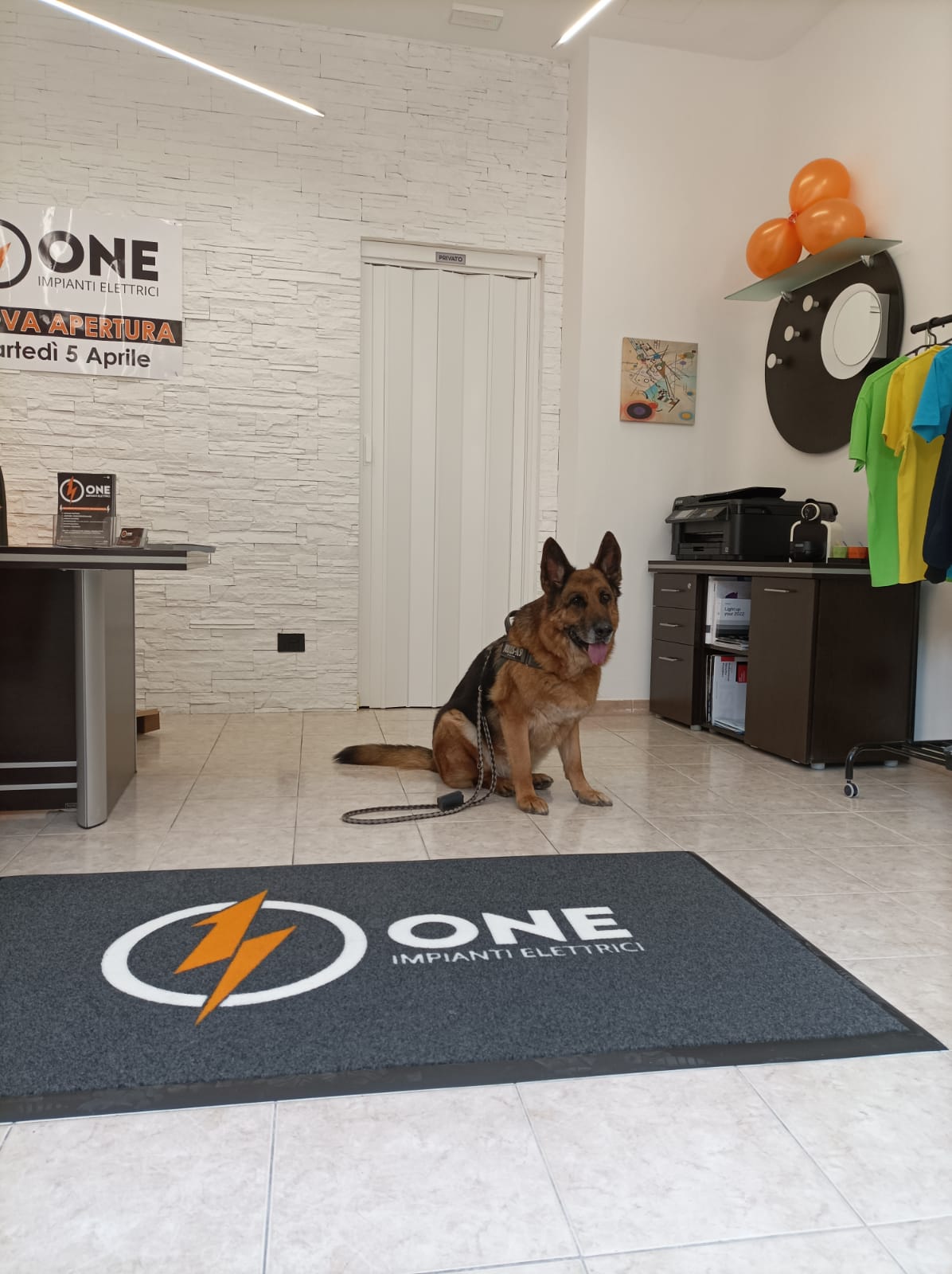 Zerbini Personalizzati con Logo Intarsiato – Qualità Professionale Italia Zerbini Zerbini Personalizzati con Logo Intarsiato – Qualità Professionale Italia Zerbini - immagine 11